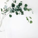 Minimal Technology - green leaf plant