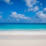 Beach Paradise - blue sea under blue sky and white clouds during daytime