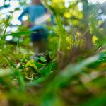 World Festivals - a blurry photo of a blue fire hydrant in the grass