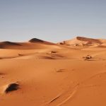 Sahara Desert - landscape photography of desert