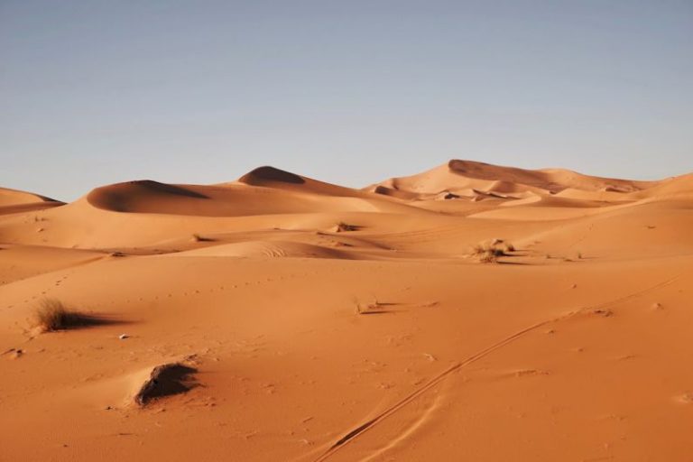 Discovering the Secrets of the Sahara Desert