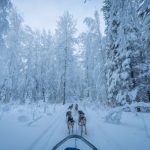 Arctic Exploration - a group of people riding on the back of a sled down a snow covered