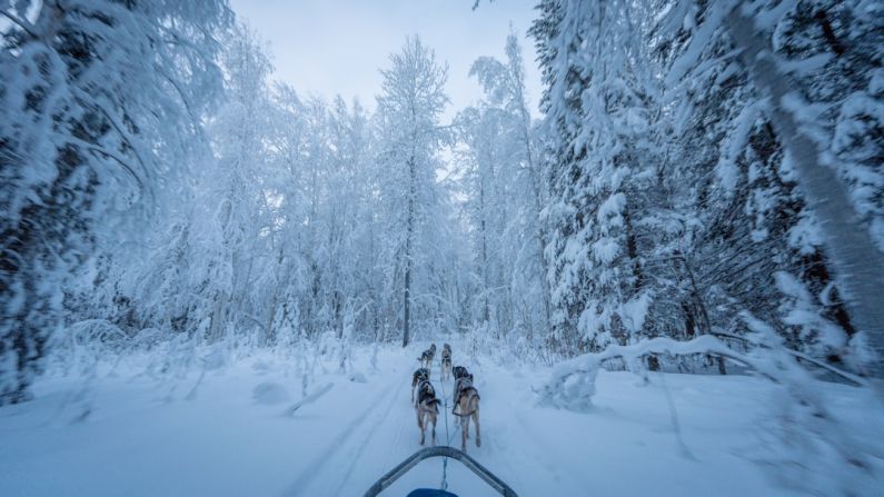 Arctic Exploration - a group of people riding on the back of a sled down a snow covered