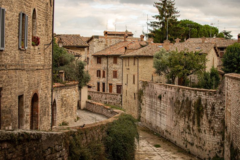 Medieval Village - green trees beside brown concrete building during daytime