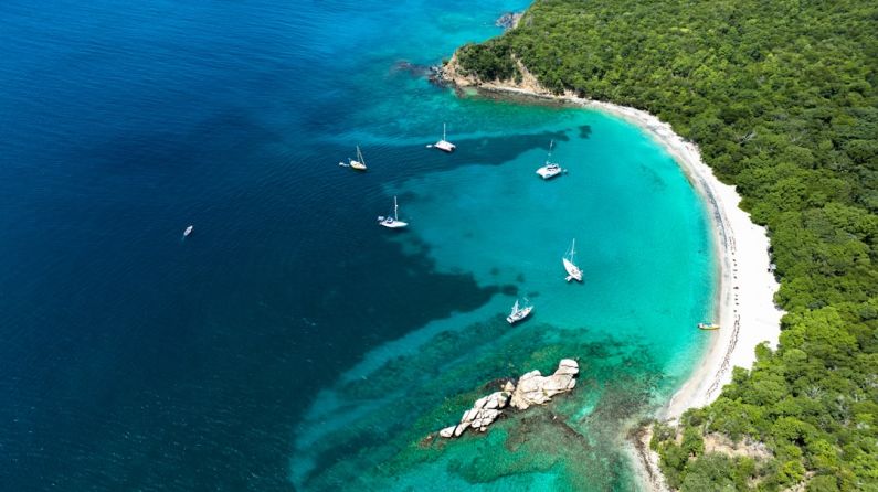 Secluded Beach - a group of boats on a beach