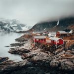 Fjords Scandinavia - red and grey houses near river during daytime
