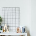 Art Scene - potted plants on table