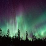 Northern Lights - silhouette of trees near Aurora Borealis at night