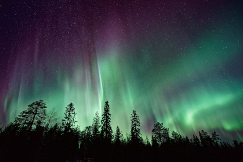 Northern Lights - silhouette of trees near Aurora Borealis at night