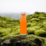 Iceland Budget - orange tumbler on green moss