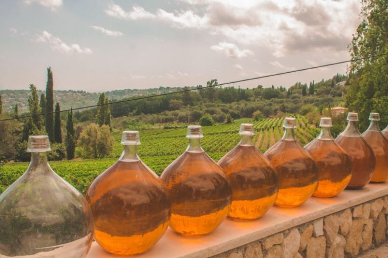 A Journey through the Vineyards of France