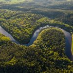 Amazon Rainforest - aerial view of green trees and river during daytime