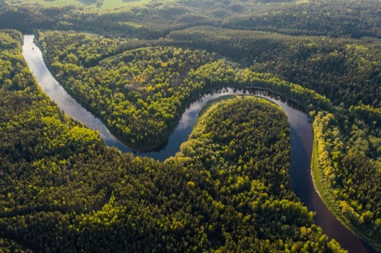 Adventure in the Amazon Rainforest