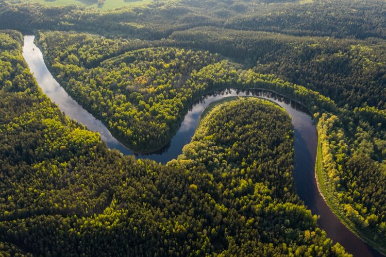 Amazon Rainforest - aerial view of green trees and river during daytime